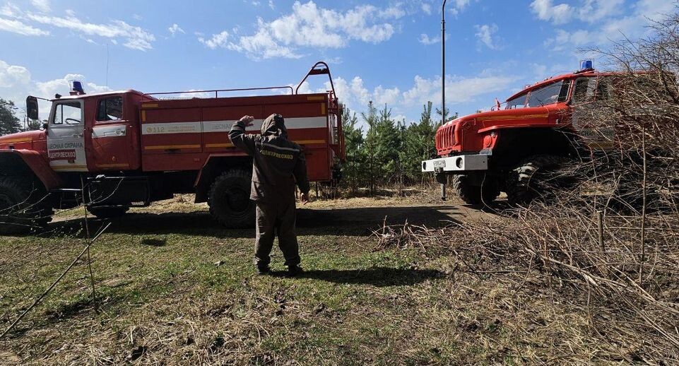    Комитет лесного хозяйства Московской области