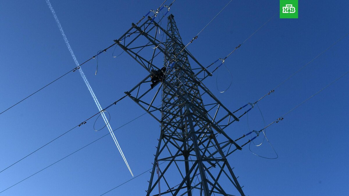    Фото: РИА Новости © 2025, Илья Наймушин