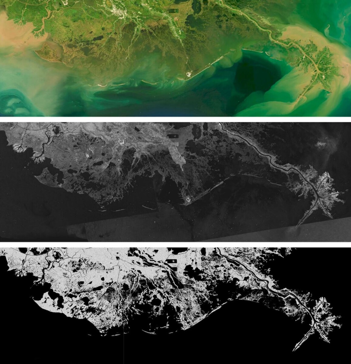 Фото: Birch Lab/ Brown University  📷
