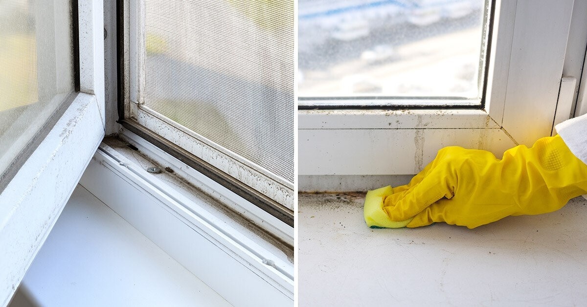     Очищайте пластик от пыли вовремя, не давая пыли и мелким частицам песка и известкового налета проникать в массив ПВХ