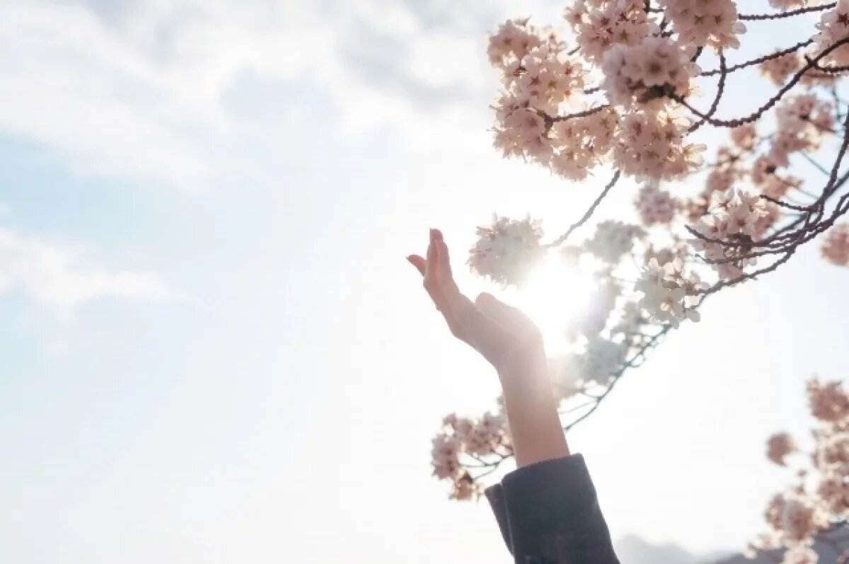    Аллергенная пыльца накрыла Самарскую область