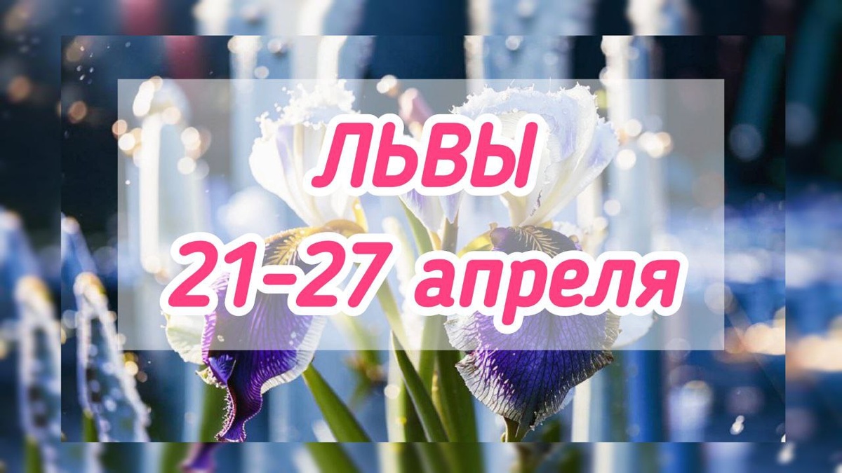 фото принадлежит автору канала