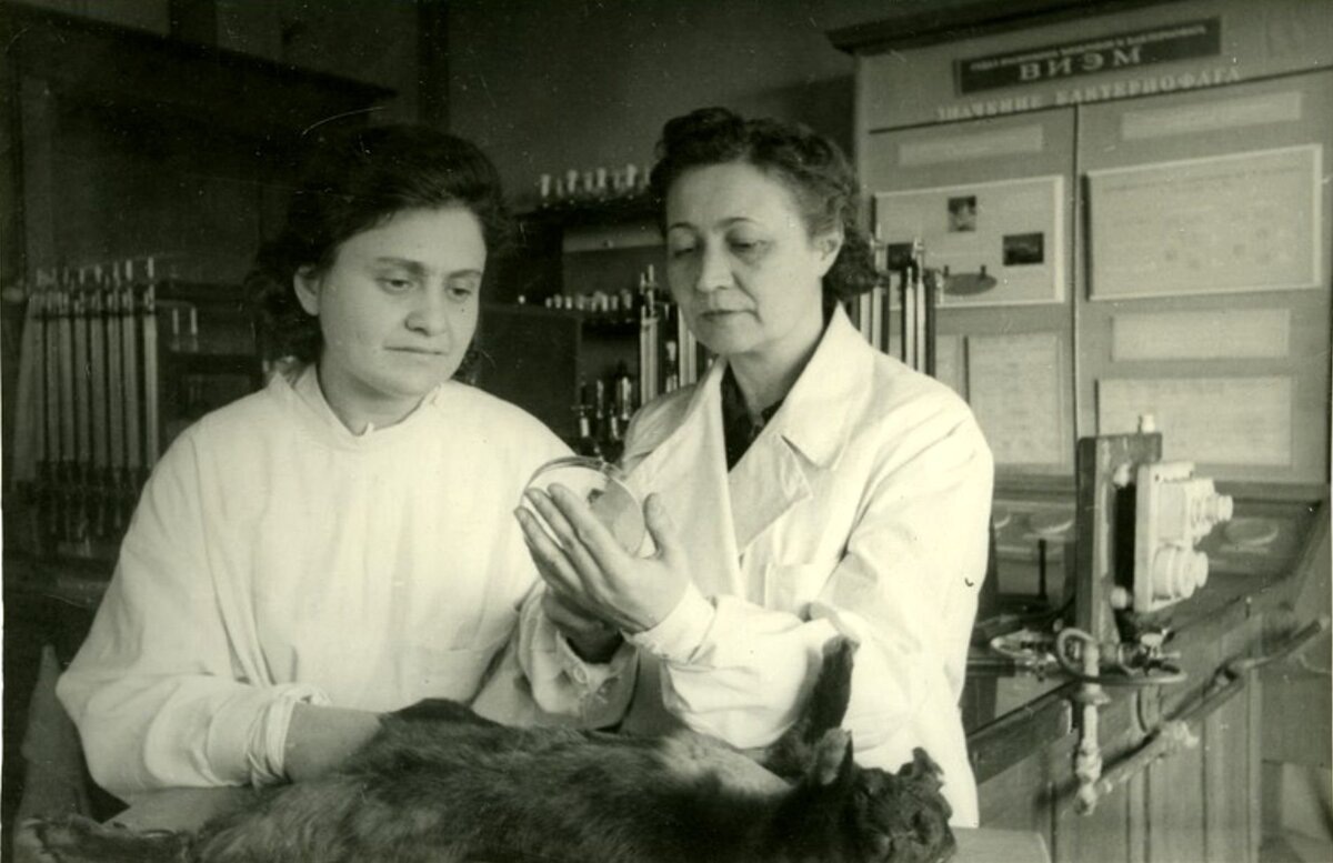 Зинаида Виссарионовна Ермольева (справа)