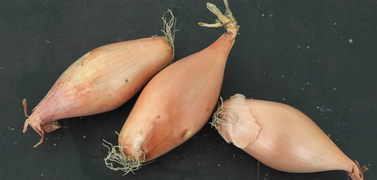 банановый лук-шалот