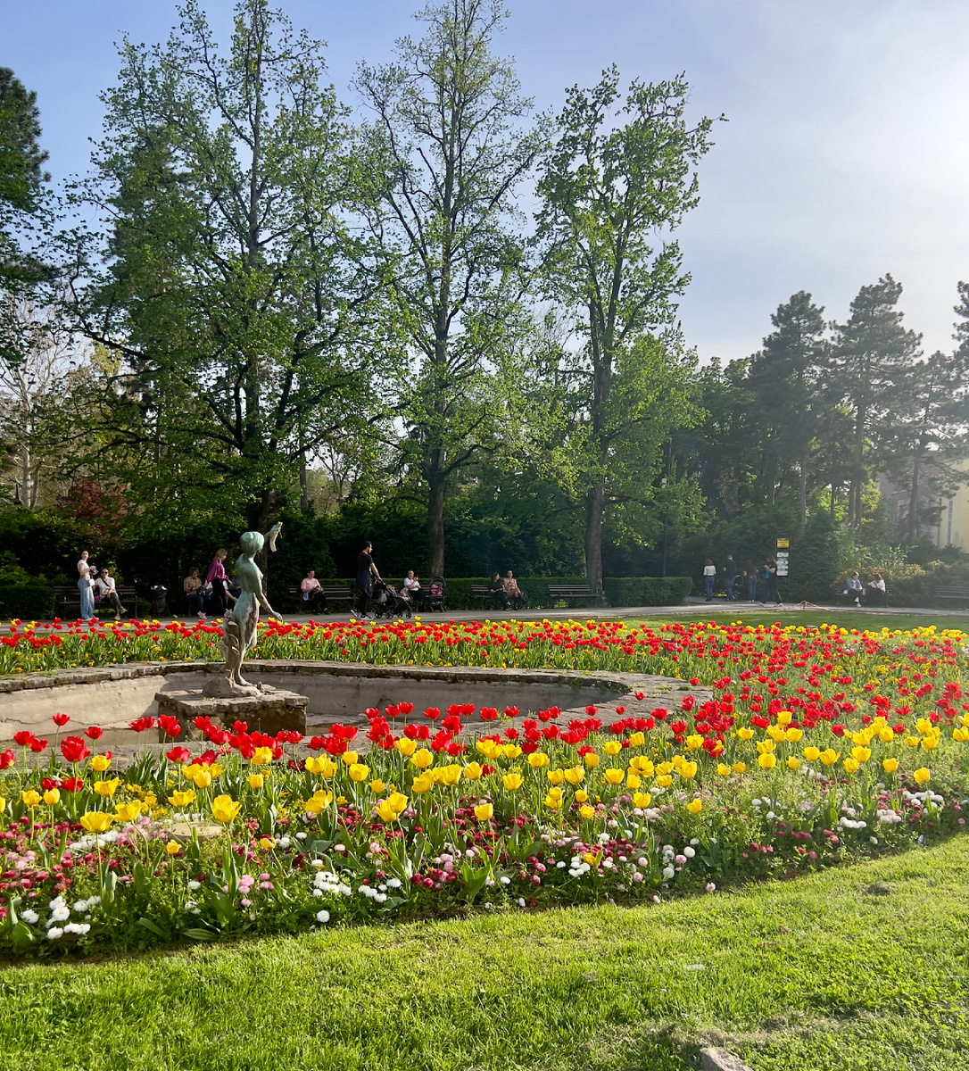 В Дунавском парке тюльпаны цветут