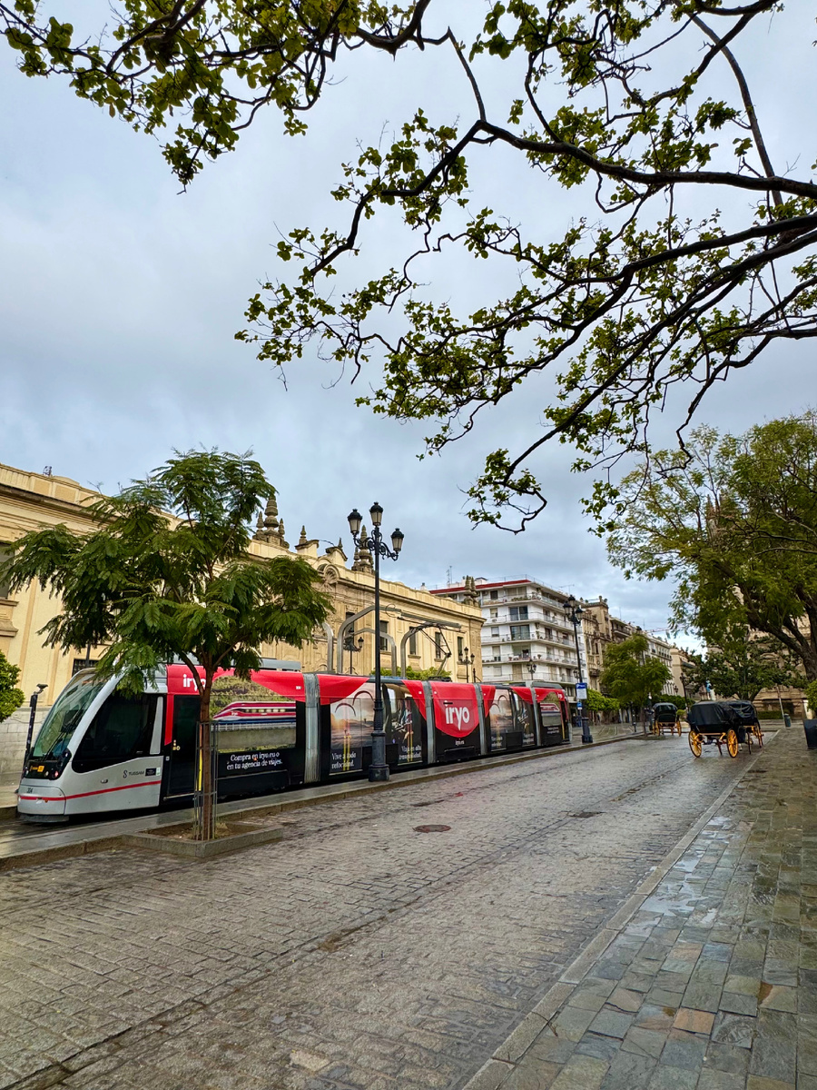 В галерее фото Сад в стиле Paradise @