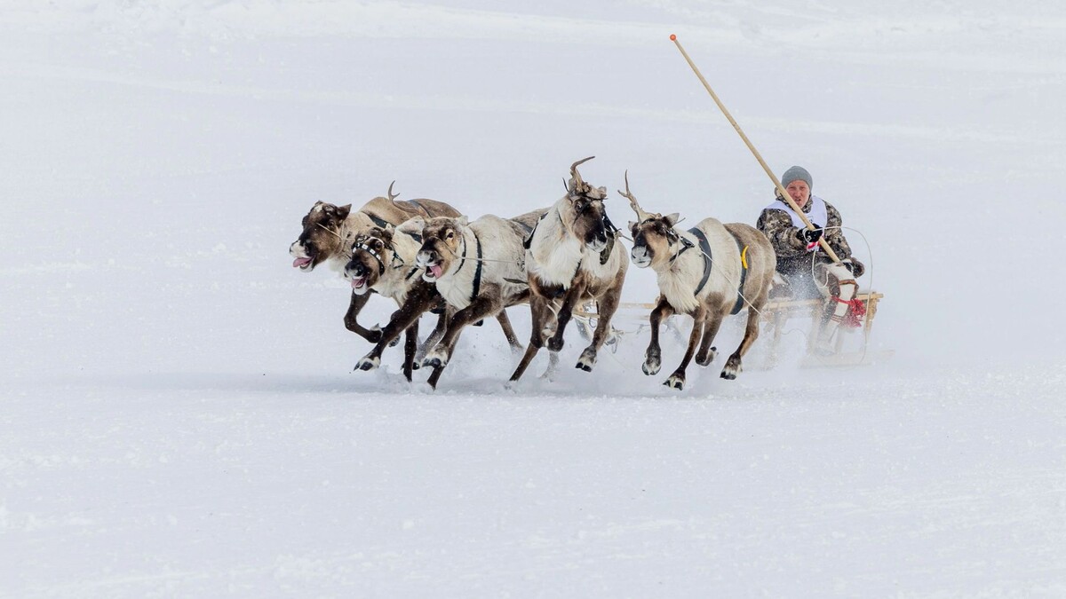    Фото: Федор Воронов/«Ямал-Медиа»