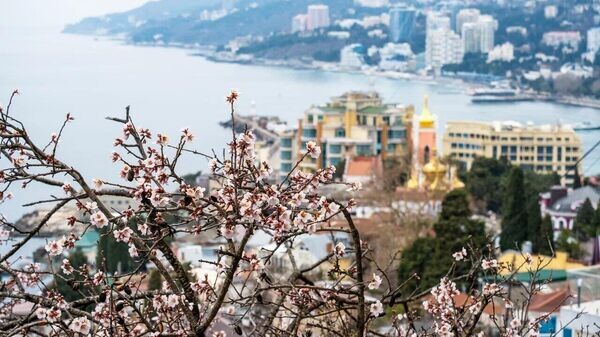    © Telegram-канал главы администрации Ялты Янины Павленко