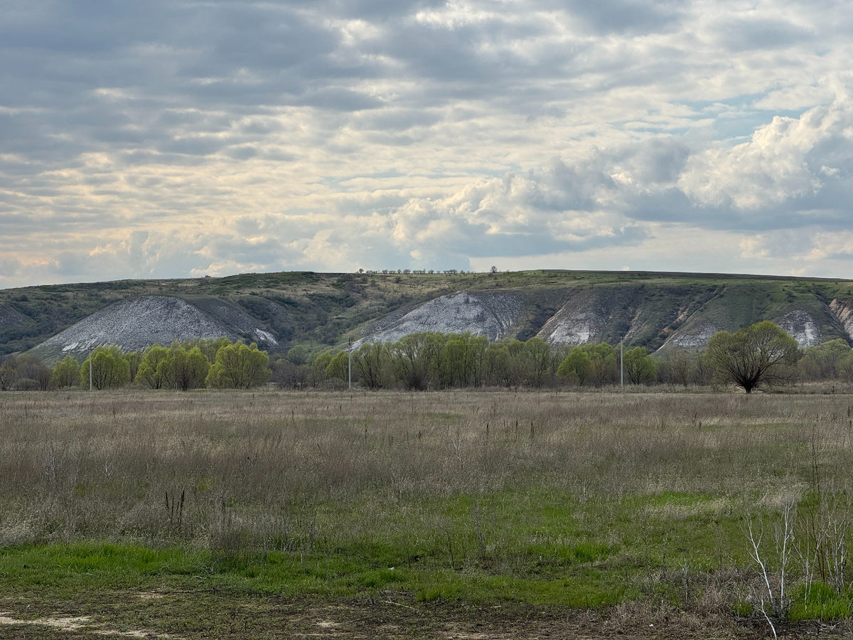 Воронежская область... Фото автора