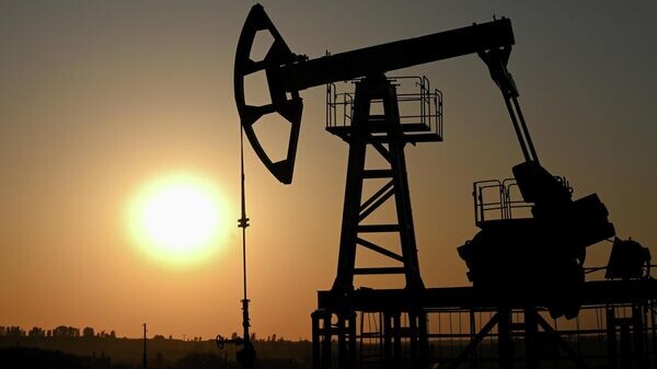    © Sputnik / Максим Блинов