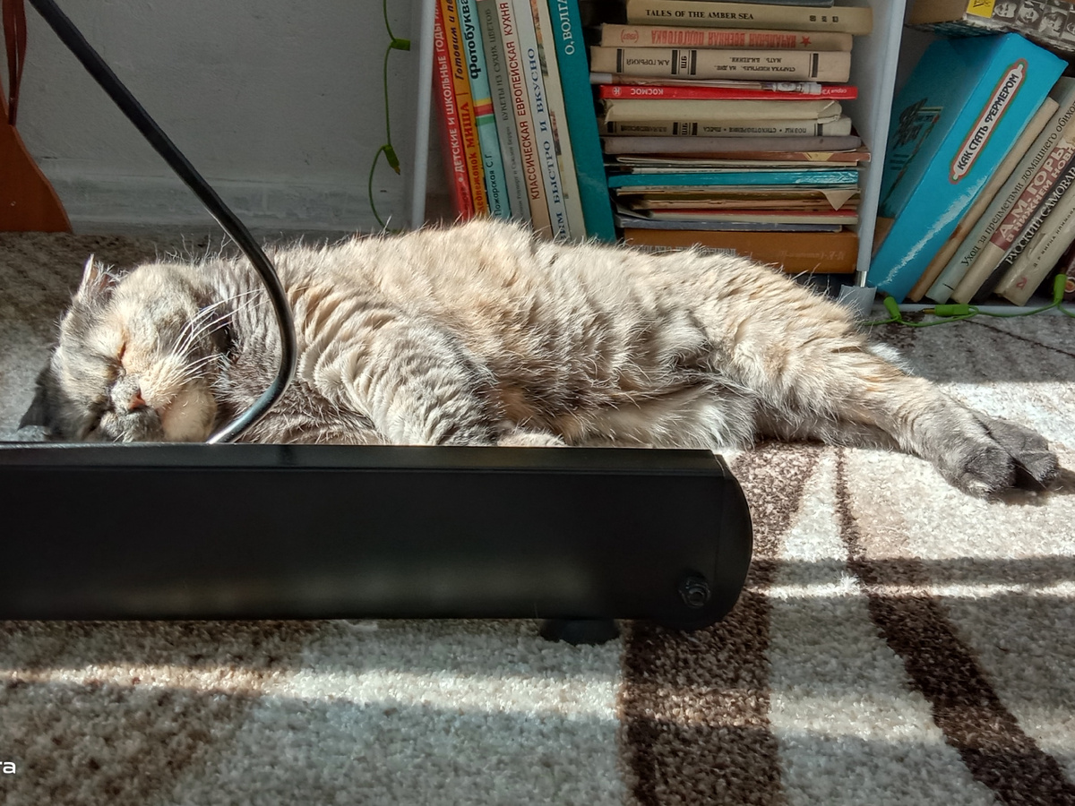 До пенсии ещё работать и работать:(