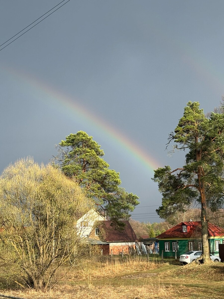 Фото автора канала. После дождя природа просыпается. 