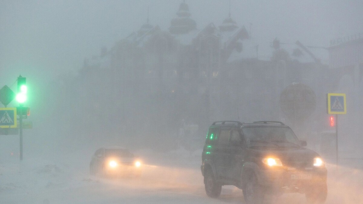    Фото: Андрей Ткачев/«Ямал-Медиа»