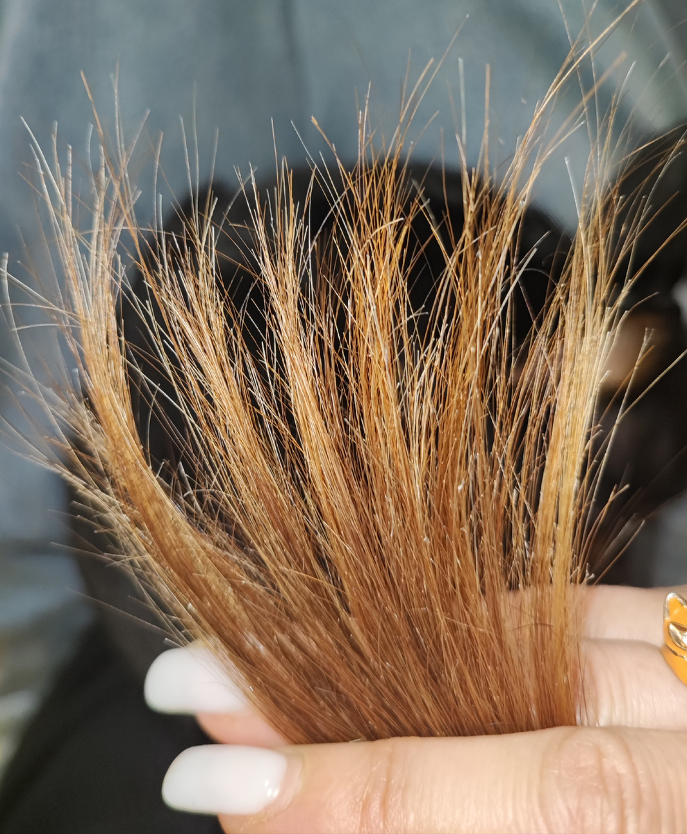 Мои секухи сецчас😬 (белые точки на кончике волоса - это уже начало сечения😔)