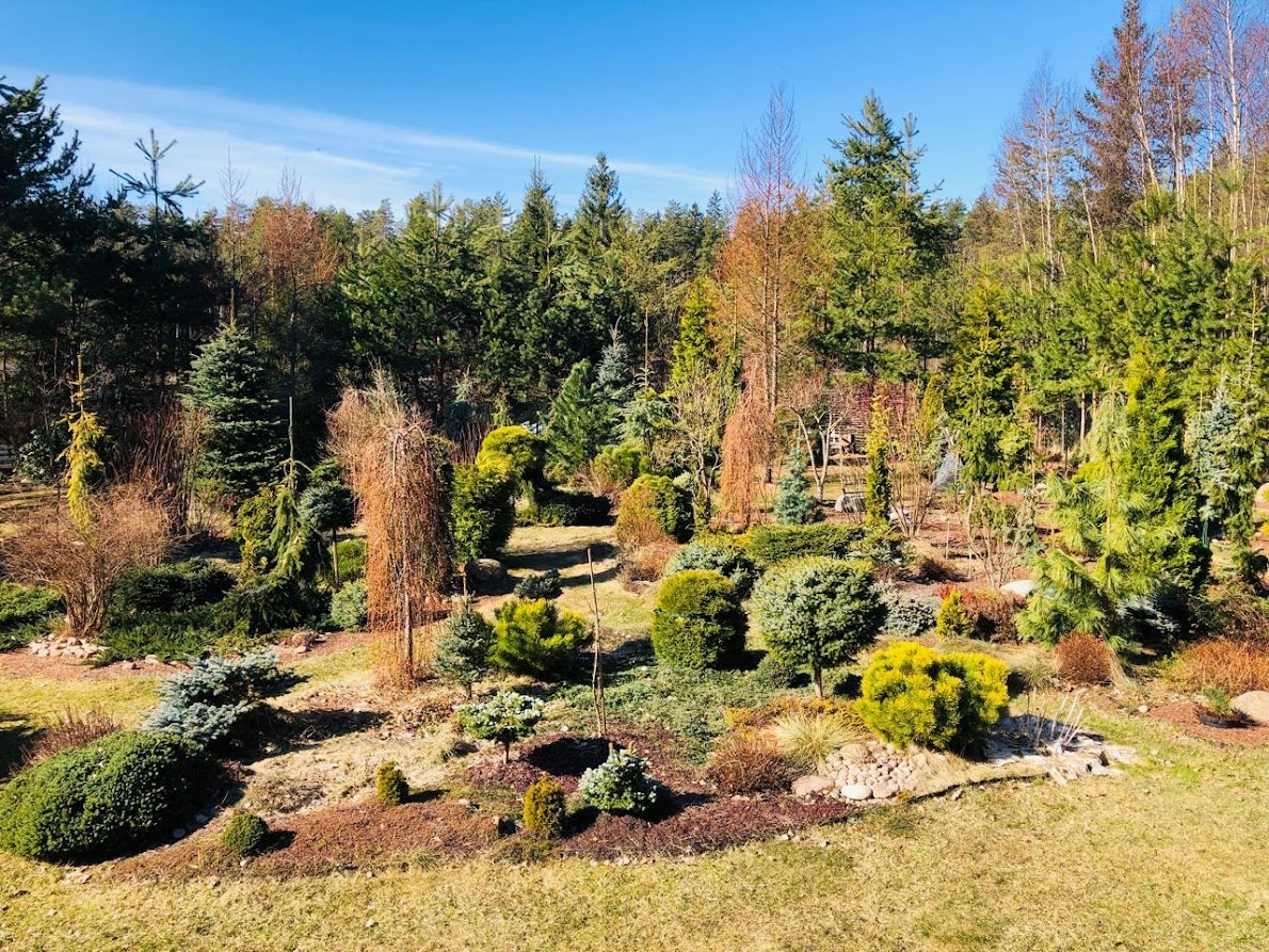 16.04.2025 хвойный сад