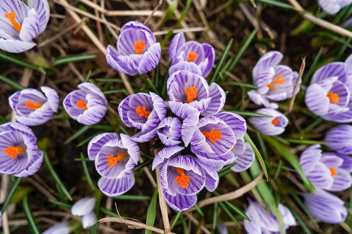    26-градусную жару на Пасху пообещали жителям Брянска
