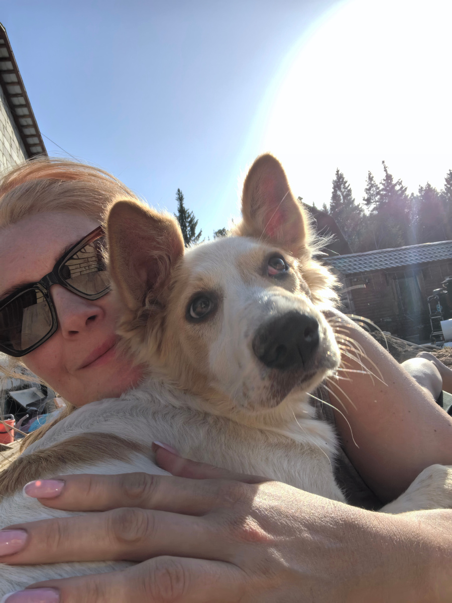 Загораем с Мартой. Ушки встали почти полностью.