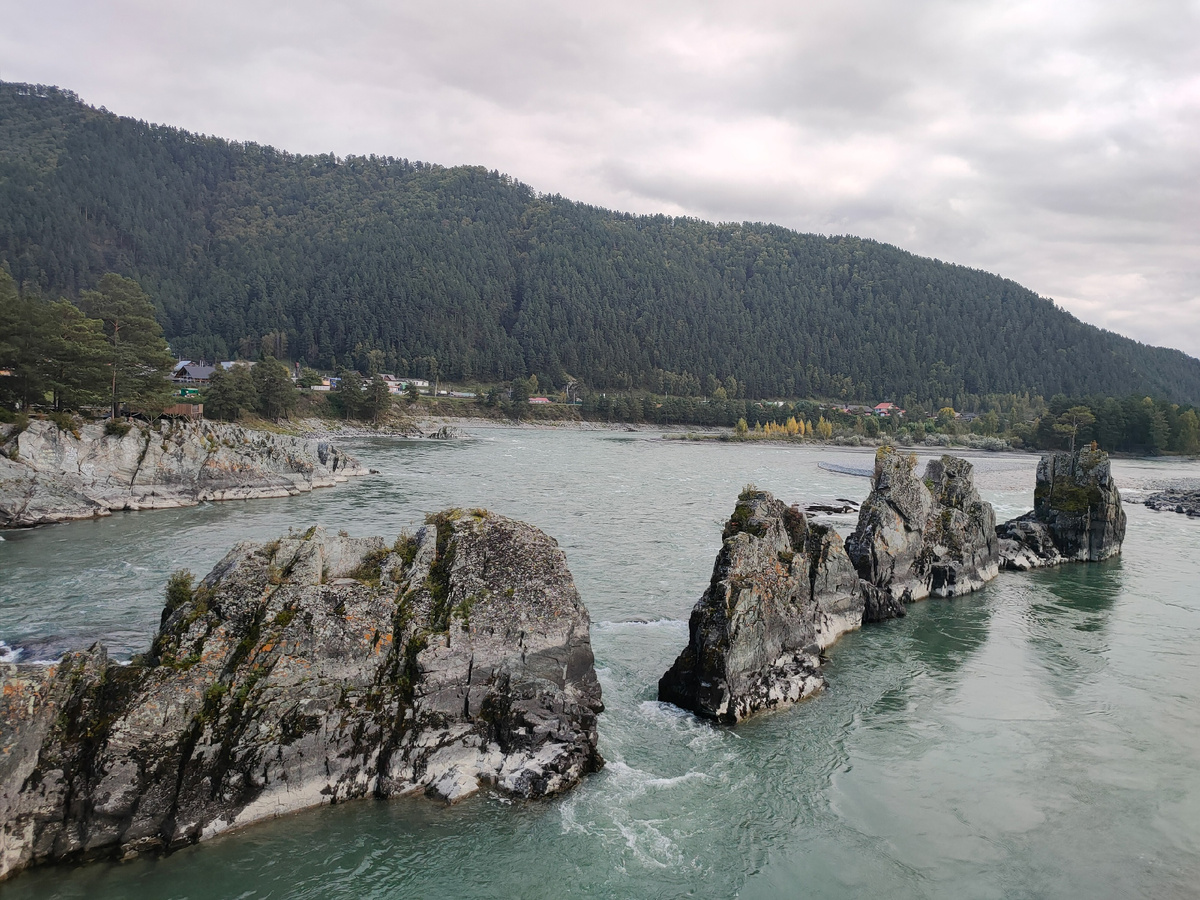 Фото: Сергей Медведев