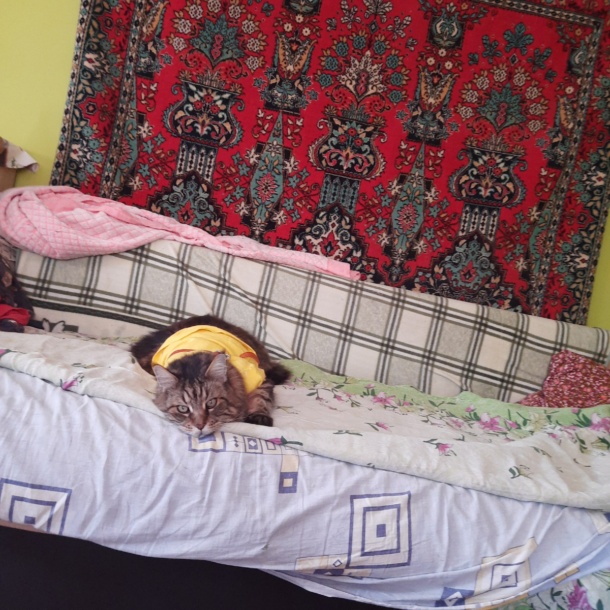 Фото сезона 24