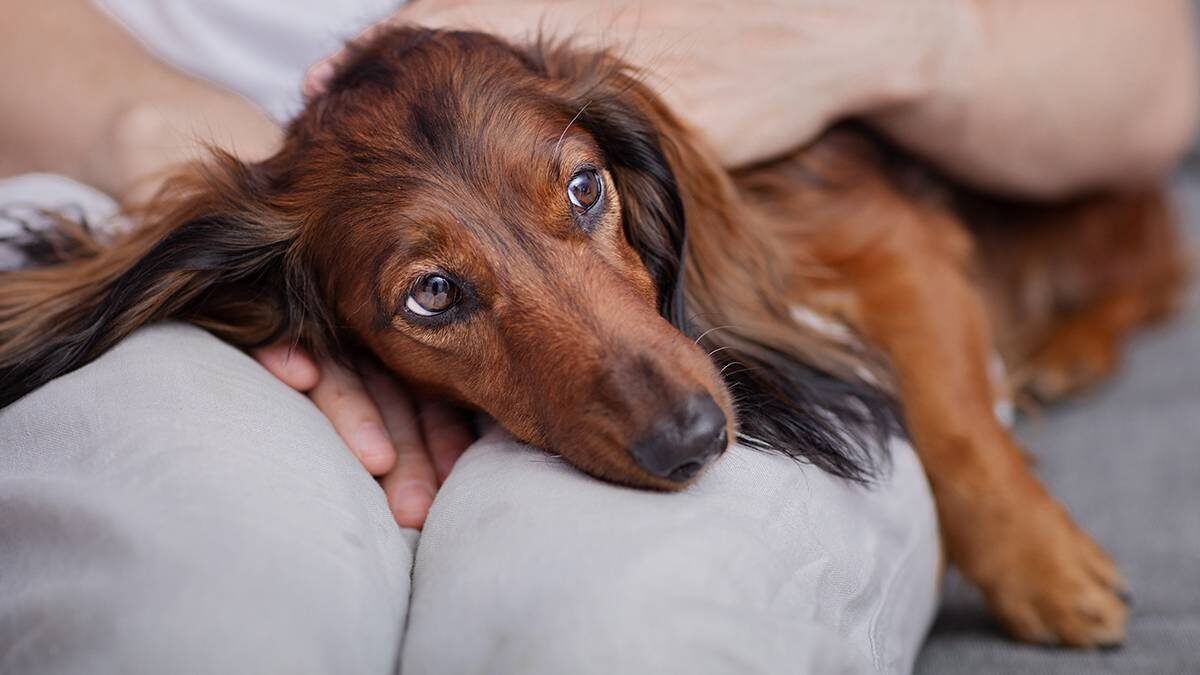    Фото: Shutterstock