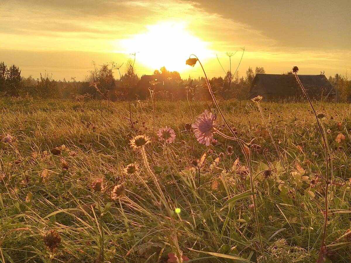 Думая о вечном, убедись, что позаботился о насущном для себя и своих близких