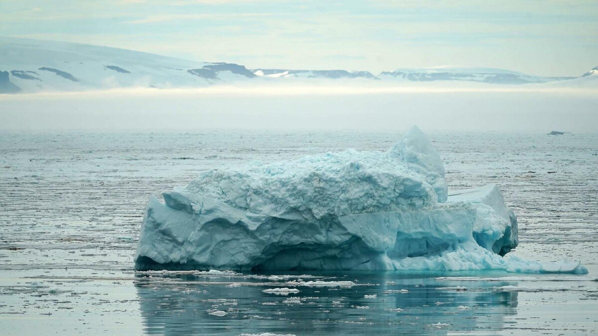 Фото: ИЗВЕСТИЯ/Павел Волков