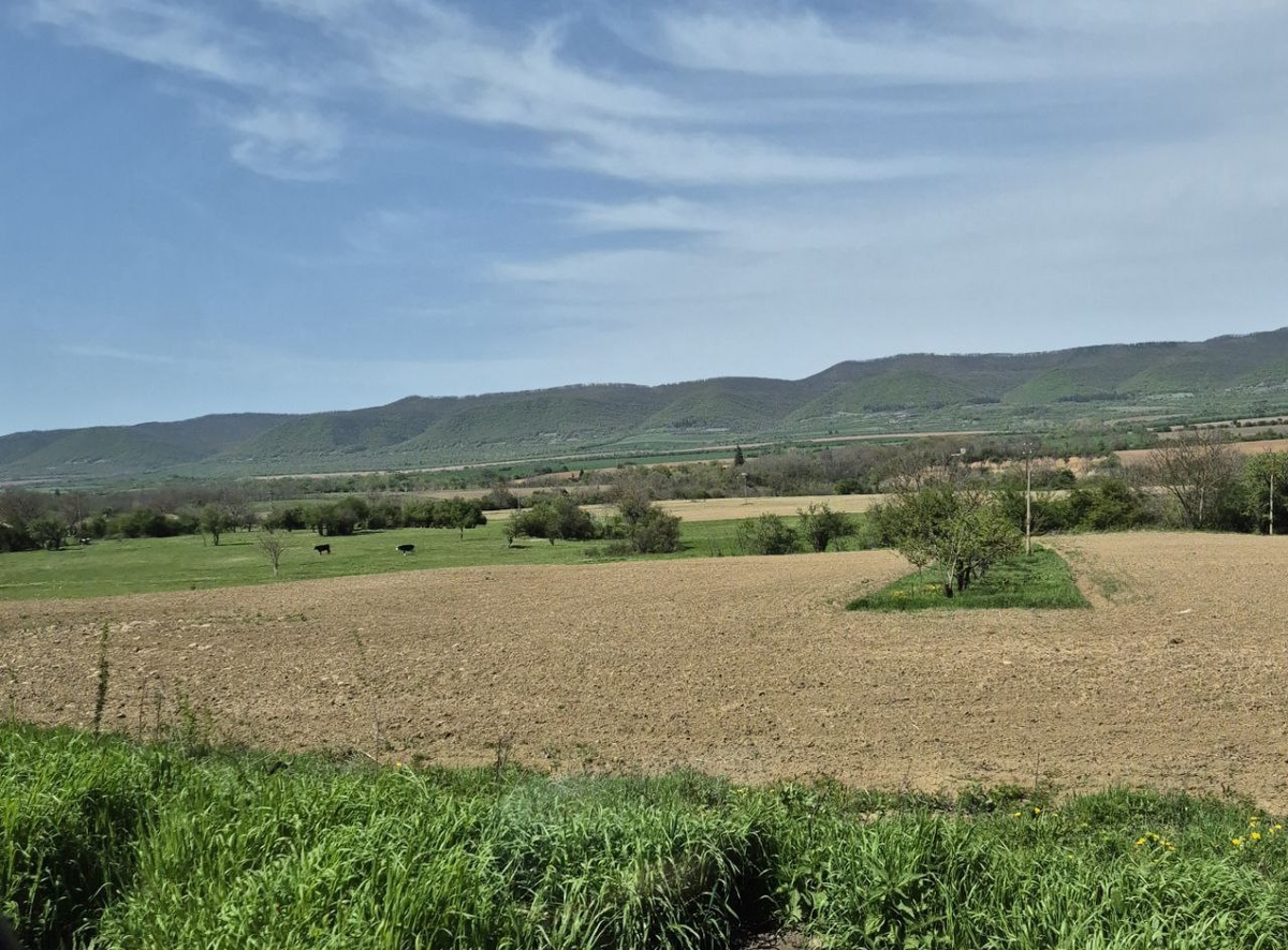 Поля и горы.