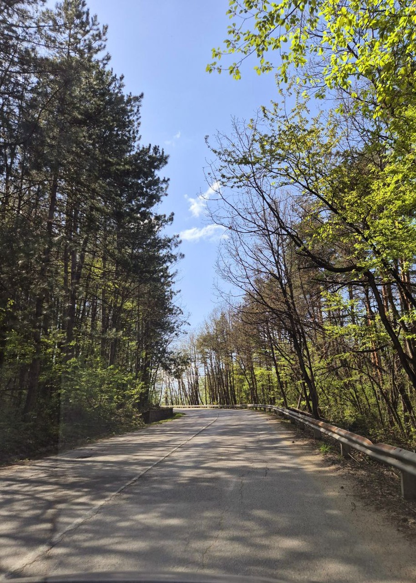 Горная дорожка