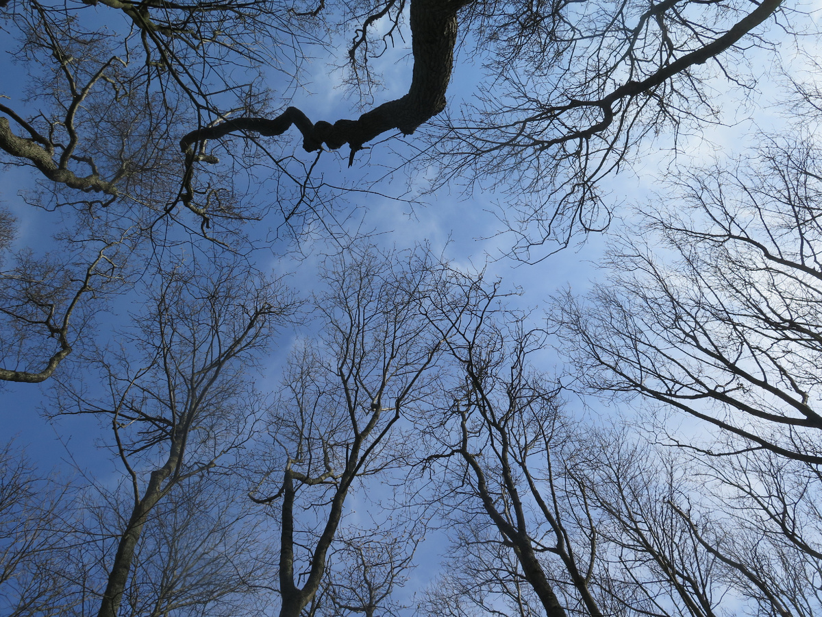 Зеленоградск 15 апреля 2025.