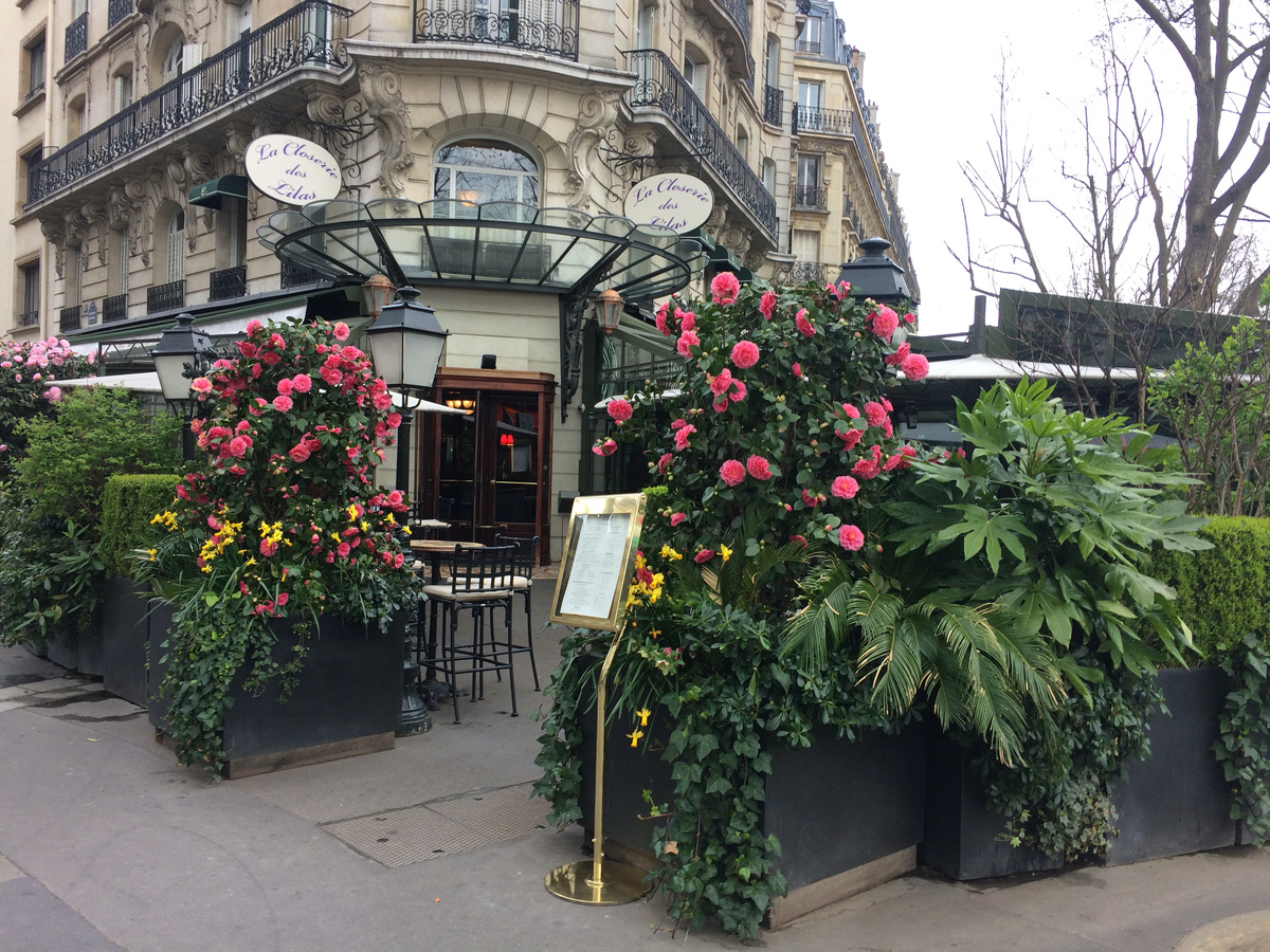 Париж. Кафе Клозери де Лила. 