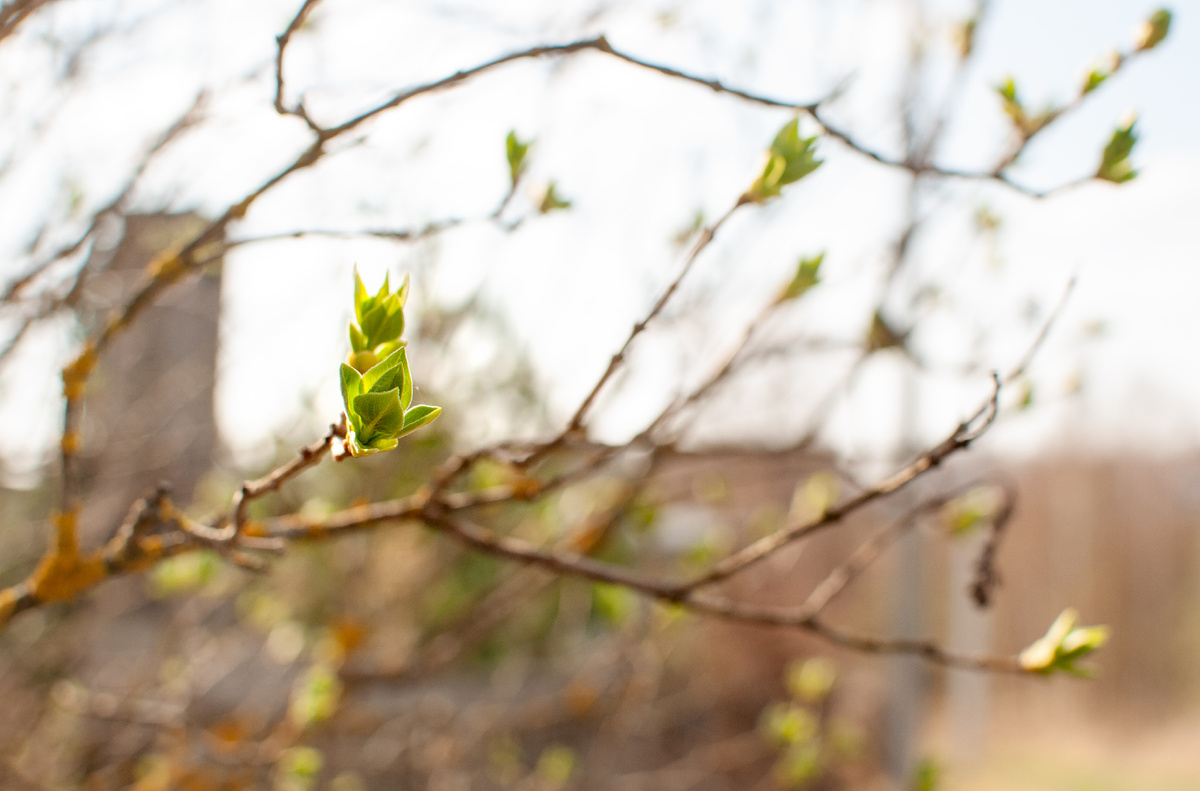 Личное фото