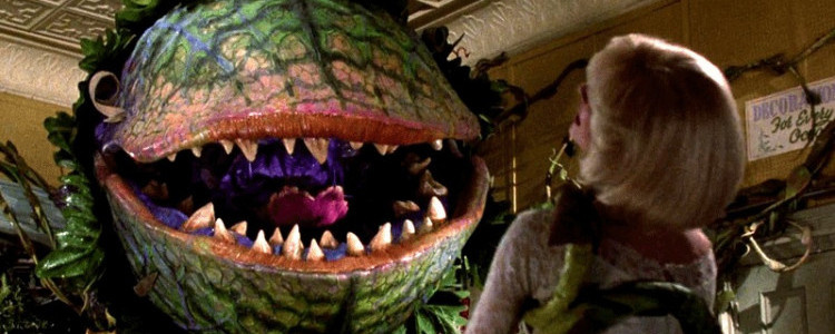 Кадр из фильма "Магазинчик ужасов". 1960 г.