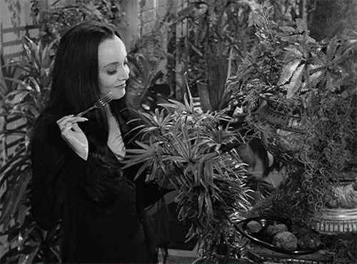 Гифка с сайта ru.pinterest.com