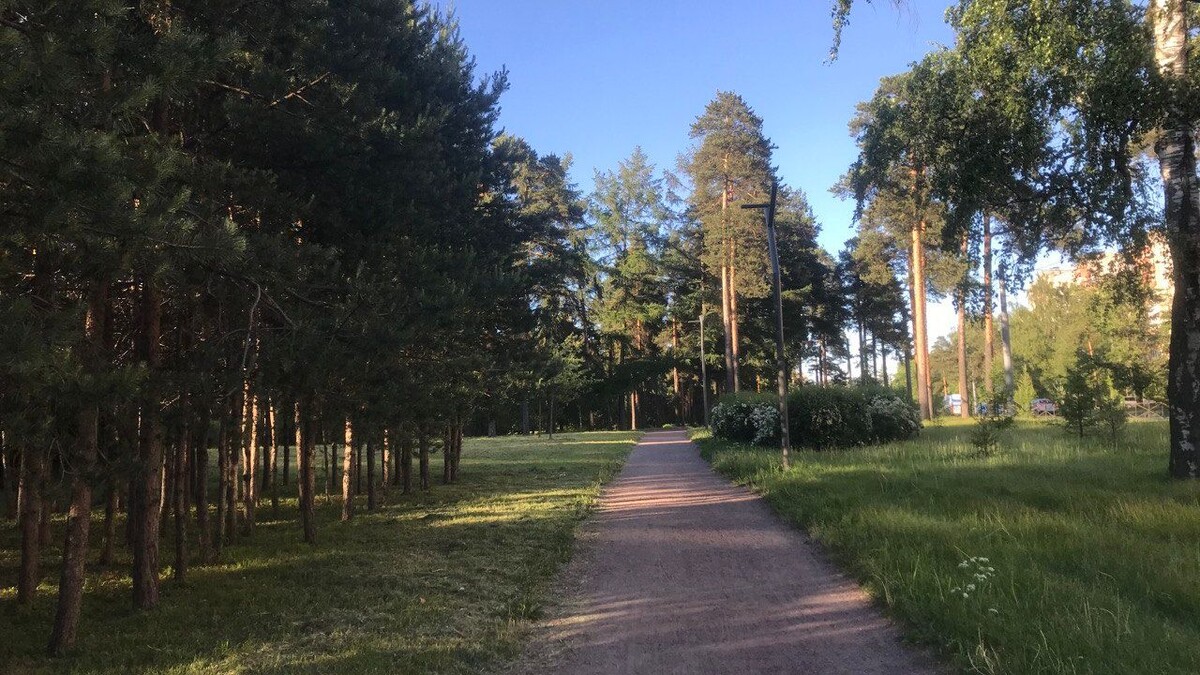     Источник: rosbalt.ru