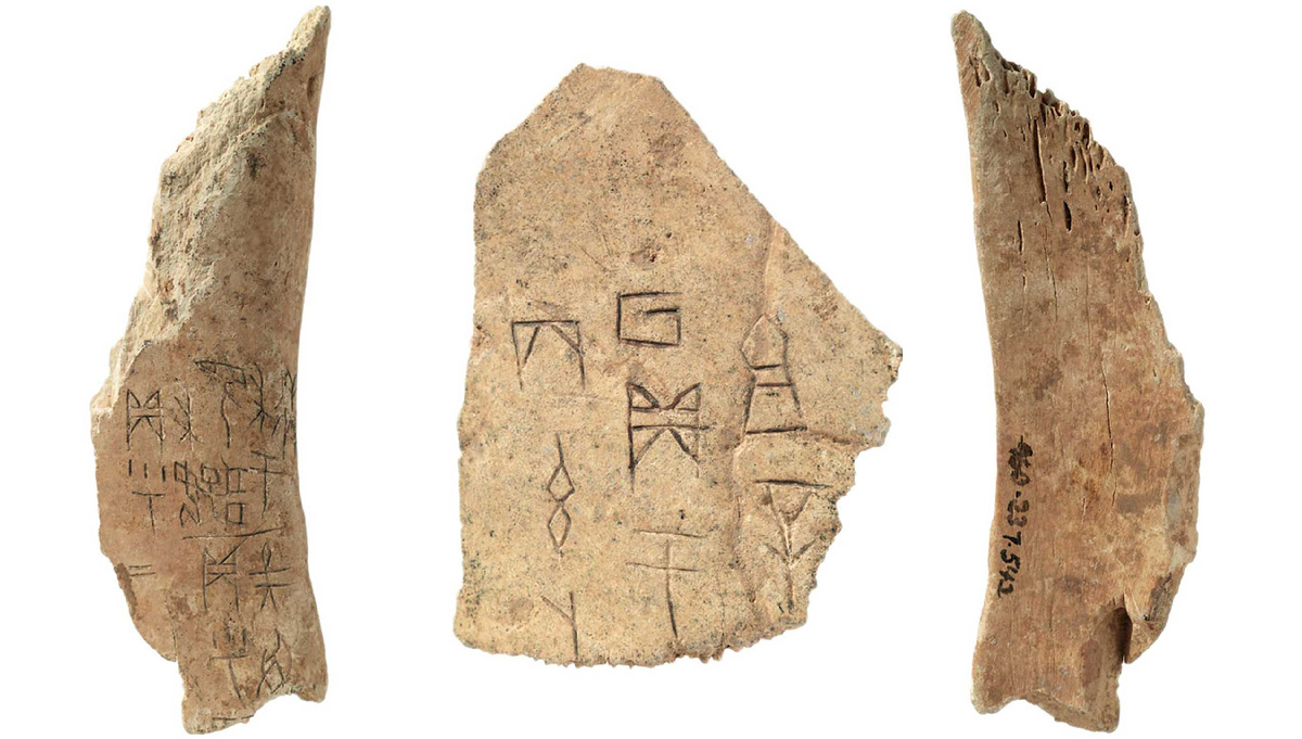 На костях выцарапывались результаты гаданий. Помните, как в дорамах трясут черепашьим панцирем и оттуда высыпают монетки с надписями? Теперь вы знаете, откуда пошла такая традиция.