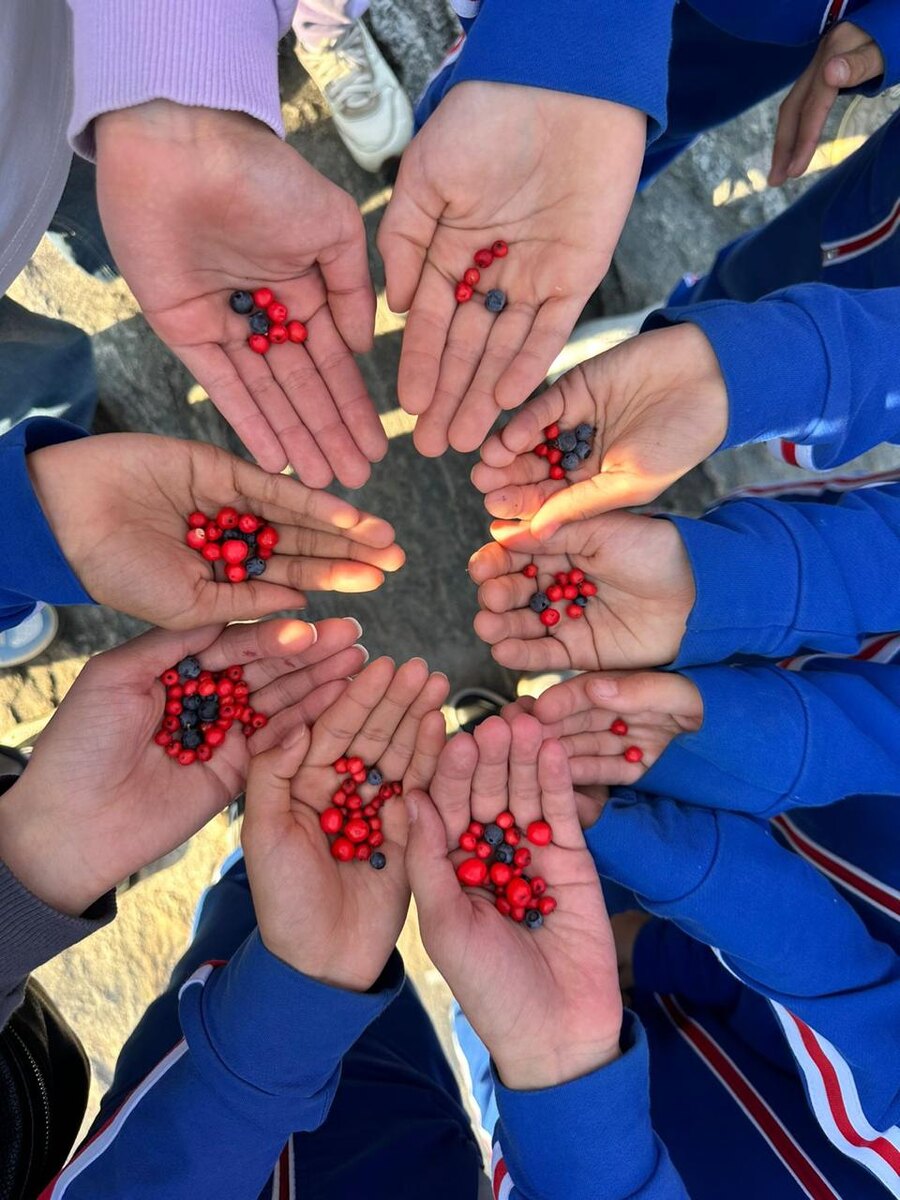 Выращивание клюквы в средней полосе