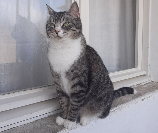 Блум недоволен