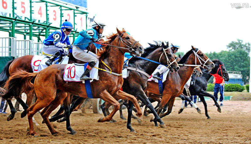 Источник skolkovo.moscow