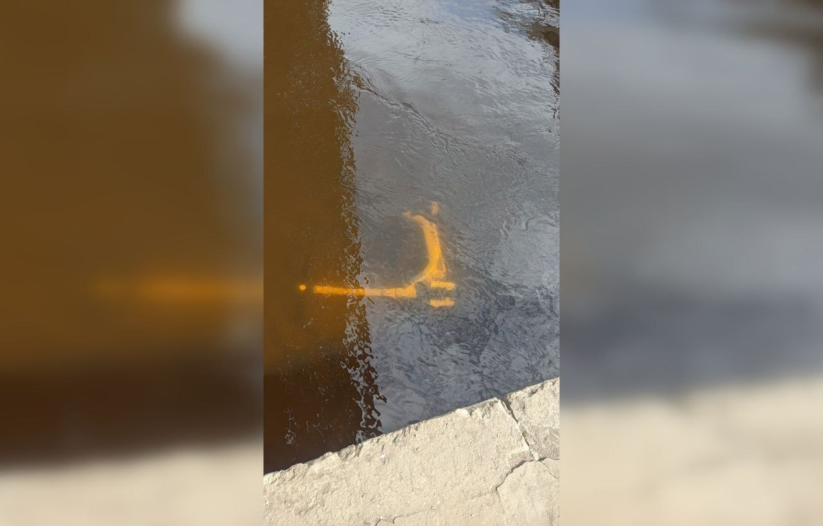 © vk.com/ ДТП и ЧП Санкт-Петербург/ Александр Антонов