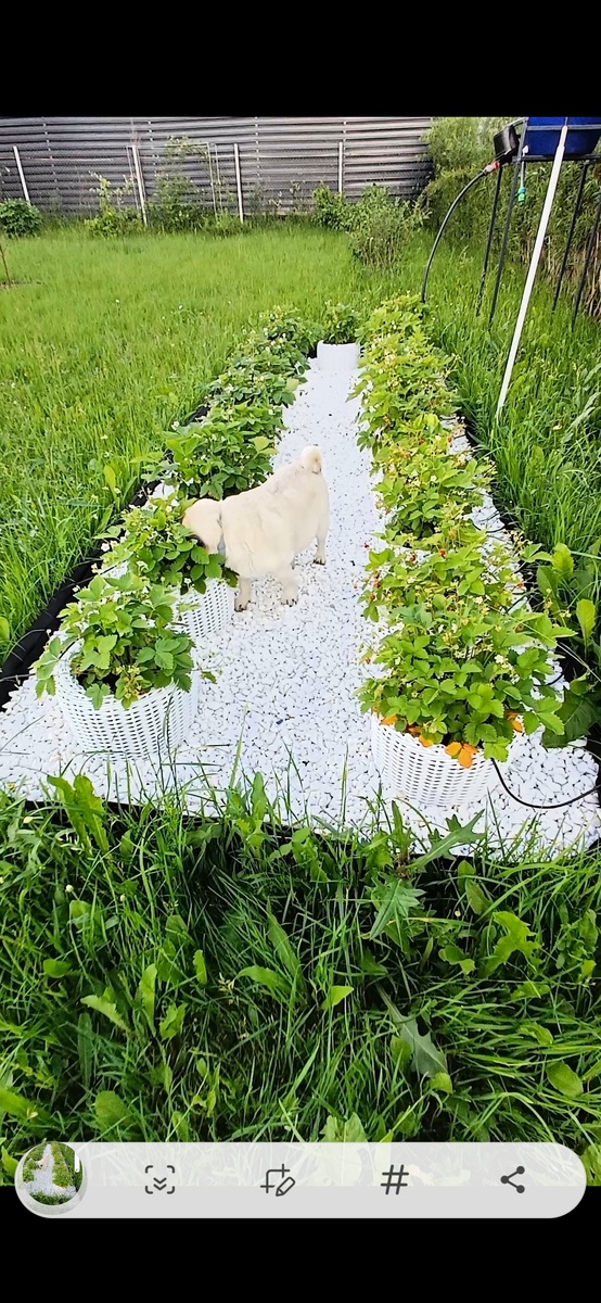 2024 год. Архив