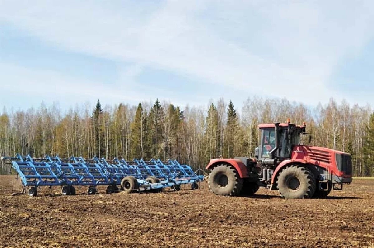    Тамбовские аграрии начали сажать картофель