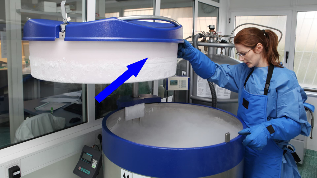    Российский НОЕВ КОВЧЕГ Как под Петербургом спасают будущее планеты