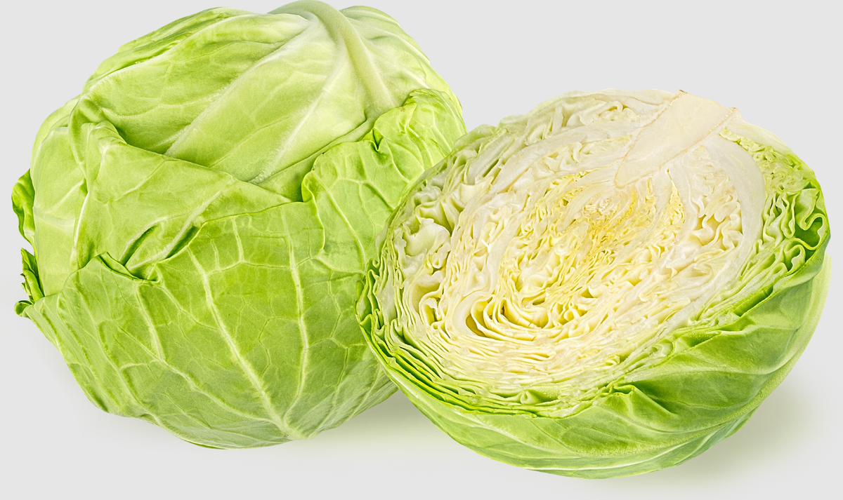 Белокочанная капуста