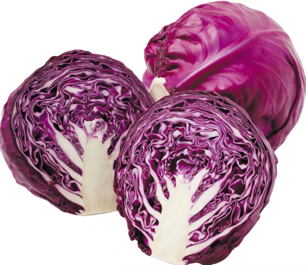 Краснокочанная капуста