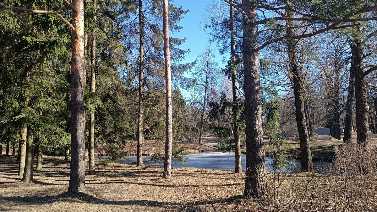 Вокруг очень чисто. Работники постоянно ухаживают за территорией