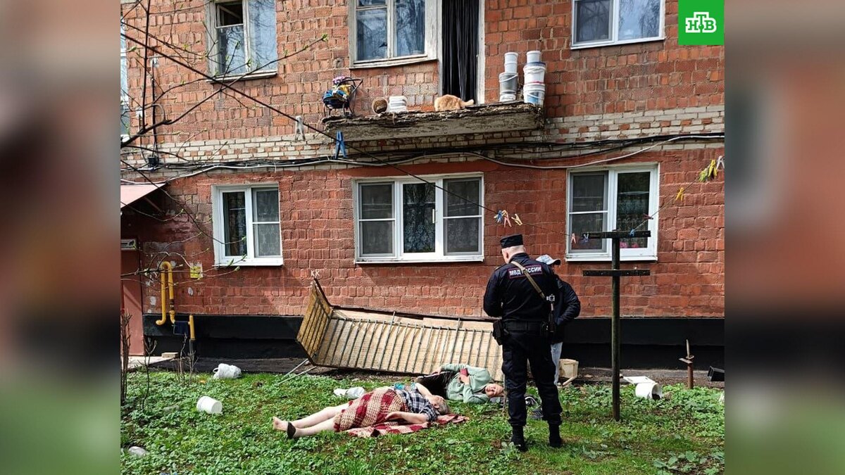    Фото: vestigolitsinochat / t.me