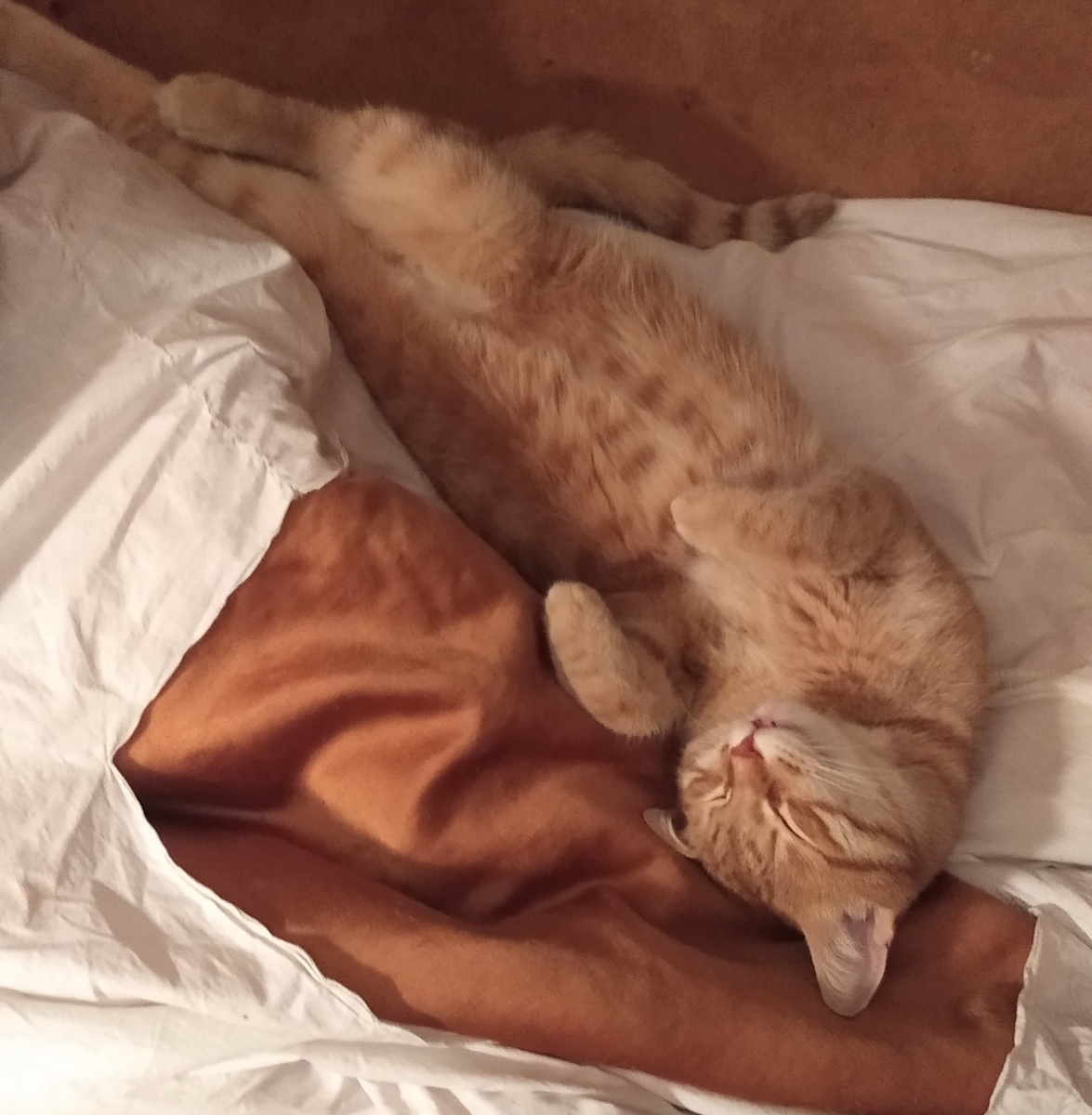 личное фото