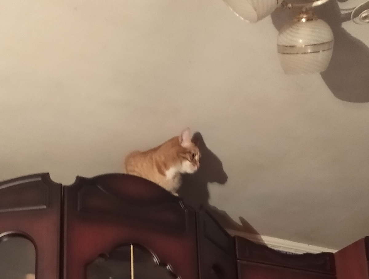 личное фото