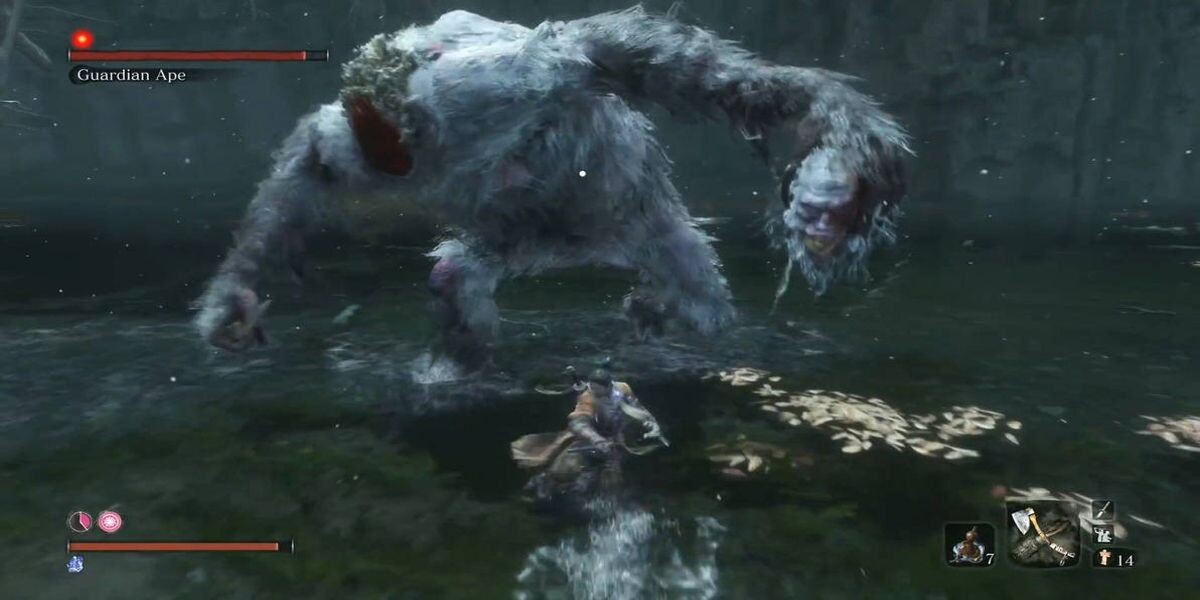 Взято из откртых истоников