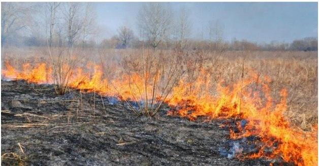    © МЧС России по Пермскому краю